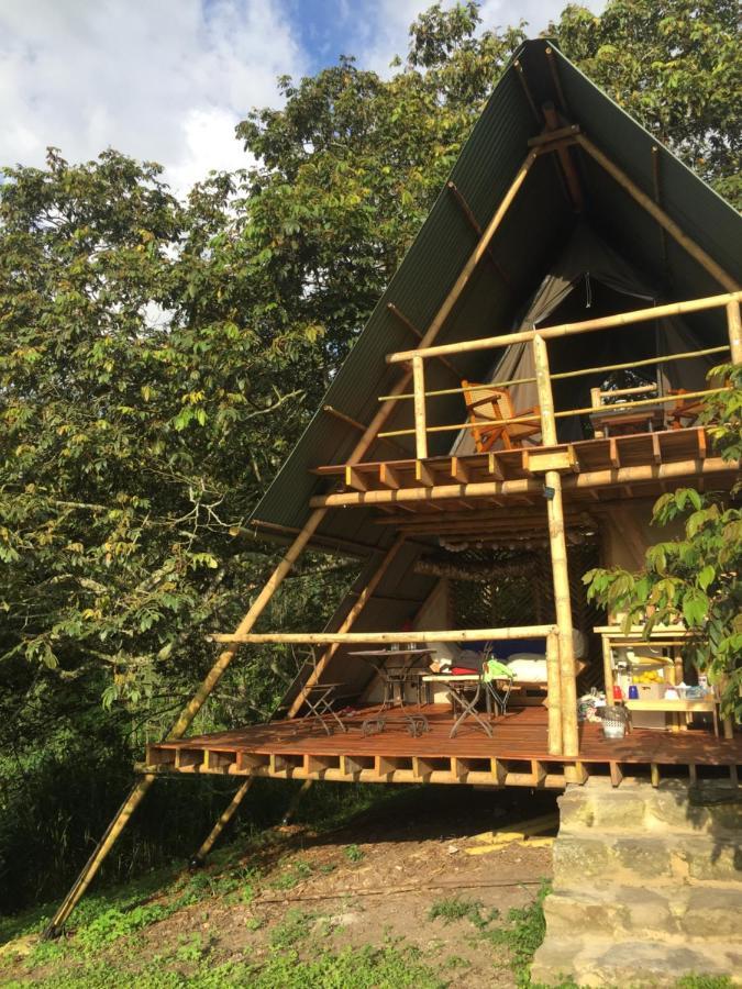 Вилла Glamping El Arbol En La Casa Сан-Антонио-дель-Текендама Экстерьер фото